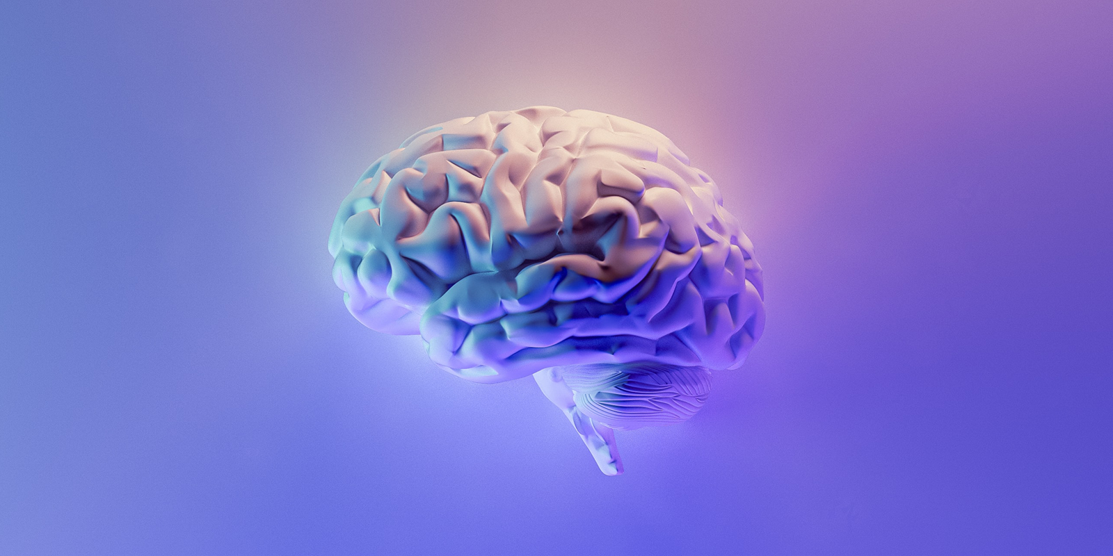 Recent Study Shows Kenetik Increases Brain Activity