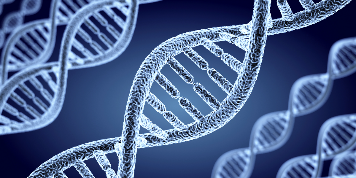 Age Reversal & Longevity Research