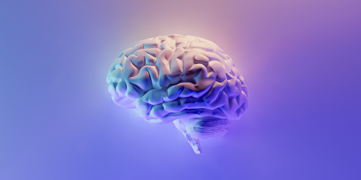 Recent Study Shows Kenetik Increases Brain Activity