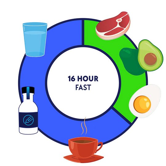 Graphic illustrating the timeline for a 16-hour intermittent fast