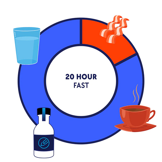 Graphic illustrating the timeline for a 20-hour intermittent fast