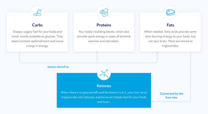 the four types of energy your body uses explained